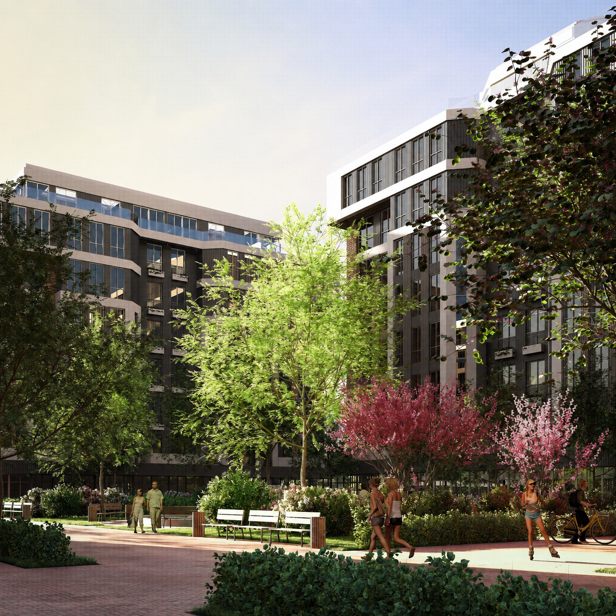 Park walk between the residential blocks with blossoming trees