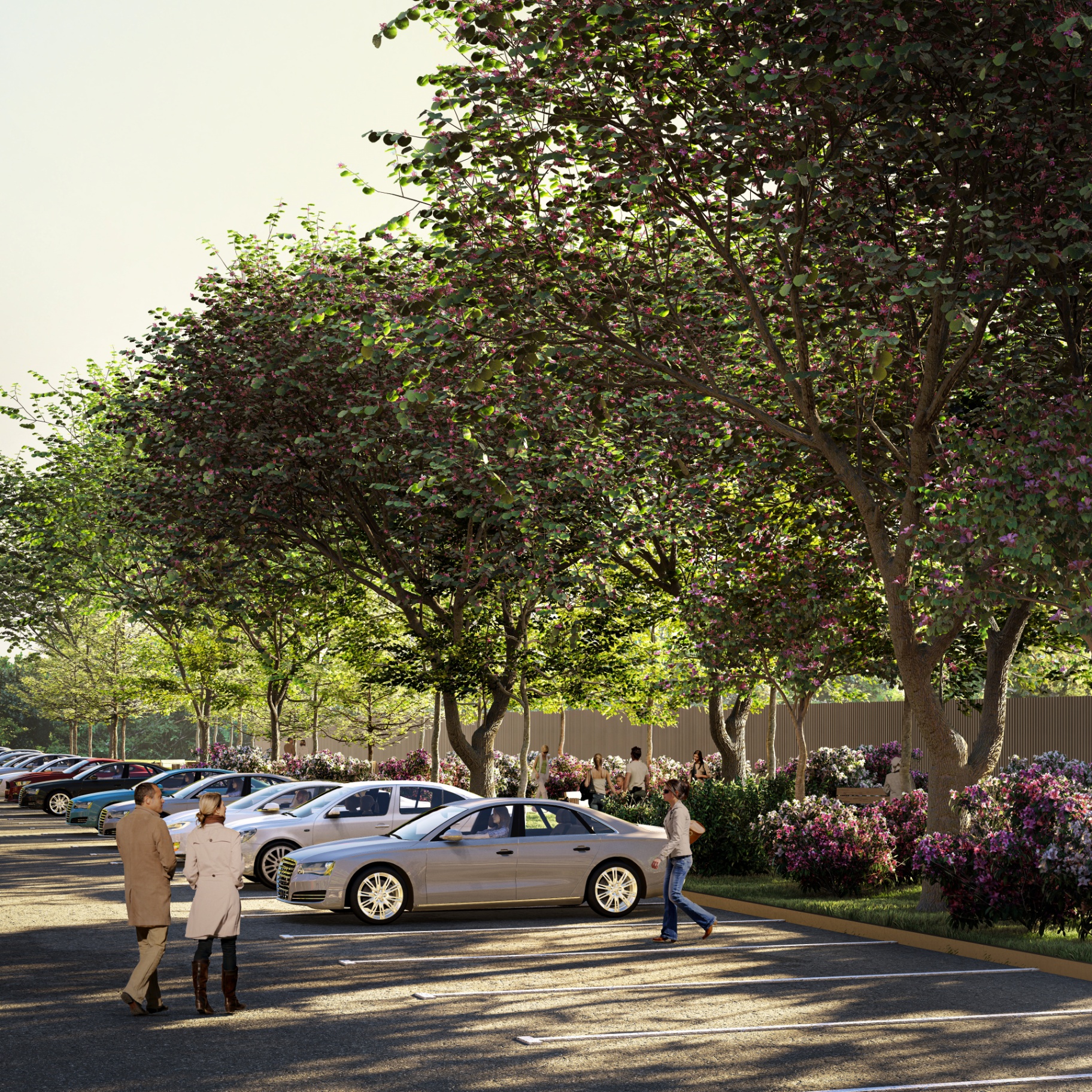 Tree-shaded resident parking with flowering hedges